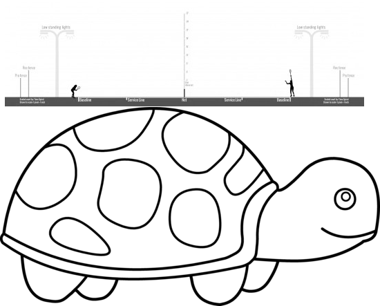 Turtlecourt